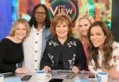 The View: Spreading Acrimony on ABC