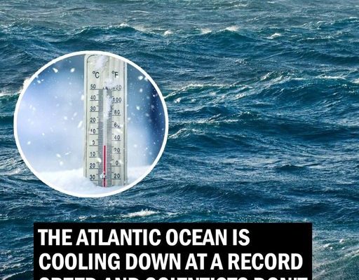 The Atlantic Ocean is cooling down at a record speed and scientists don’t know why