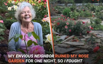 Woman Accuses Neighbor of Ruining Her Garden, Next Morning She Wakes up to Sounds of an Ambulance – Story of the Day