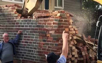 Feuding Neighbors Build Wall on Property Line, Wake up Hearing Bulldozer One Day – Story of the Day