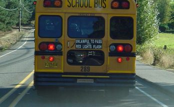 I Saw a Child on the School Bus Hitting the Back Window and Yelling for Help