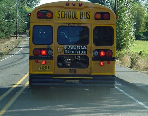 I Saw a Child on the School Bus Hitting the Back Window and Yelling for Help