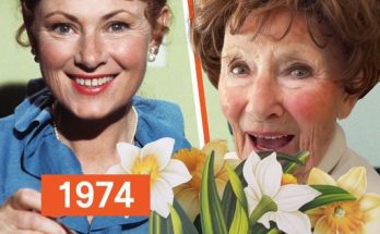 7 Legendary Celebs You Won’t Believe Are Now over 90 Years Old – Photos