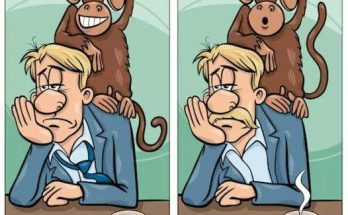 If you have AMAZING eyesight, try to find the 3 differences between these cute images.