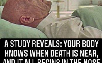 A Study Reveals: Your Body Knows When Death Is Near, And It All Begins In The Nose