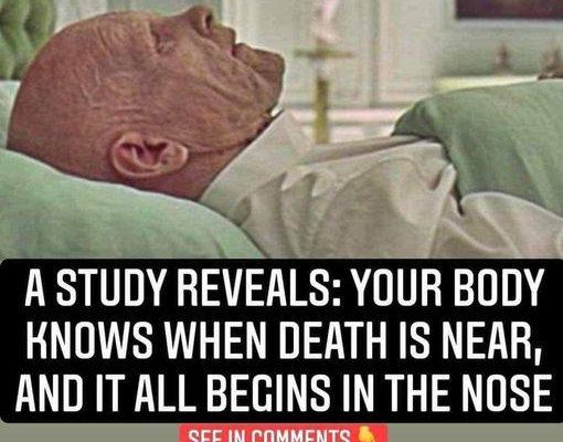 A Study Reveals: Your Body Knows When Death Is Near, And It All Begins In The Nose