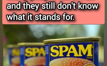 What is SPAM And What Is It Made of, Anyway?