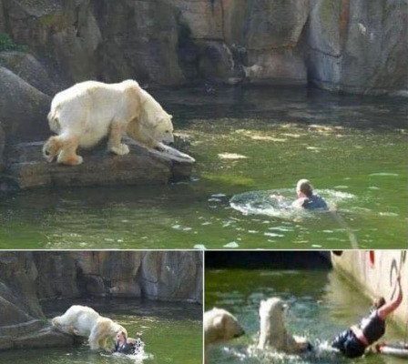 A 32-year-old woman was attacked by a polar bear after she jumped into their enclosure at the Berlin Zoo.