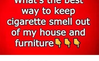 What’s the best way to keep cigarette smell out of my house and furniture