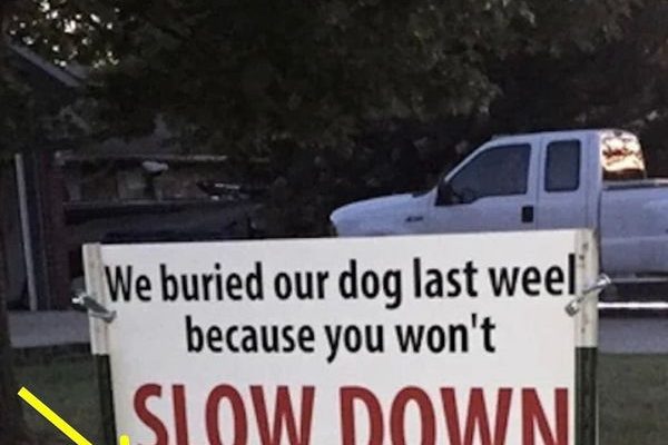 After dog gets hit by car, brutal sign has whole neighborhood talking