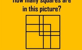 Mind-Bending Puzzle: The True Number of Squares Revealed