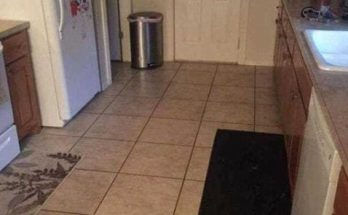 Can you find the large dog hiding in this kitchen?