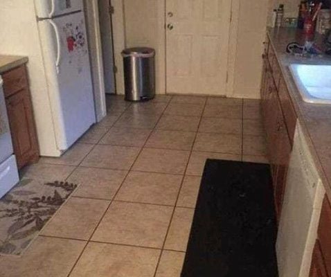 Can you find the large dog hiding in this kitchen?