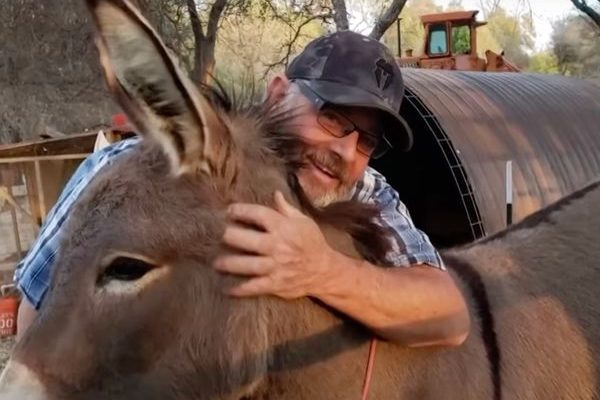 Pet donkey was thought to be dead — 5 years later he’s discovered alive with unexpected new family