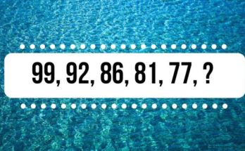 Is It Possible To Decipher The Next Sequence Number By Looking for The Hidden Pattern?